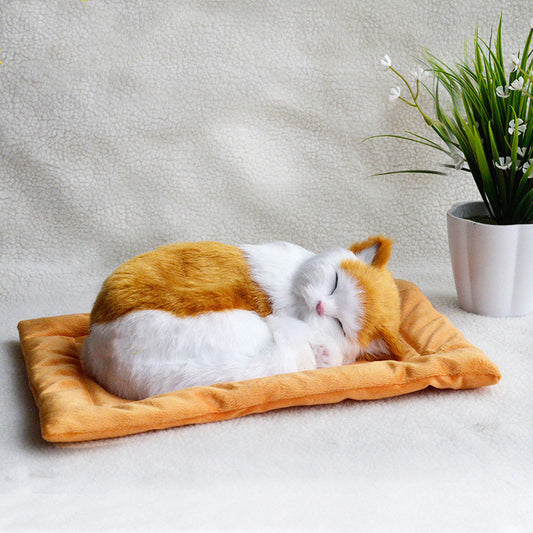 Decoration Creative Birthday Gifts